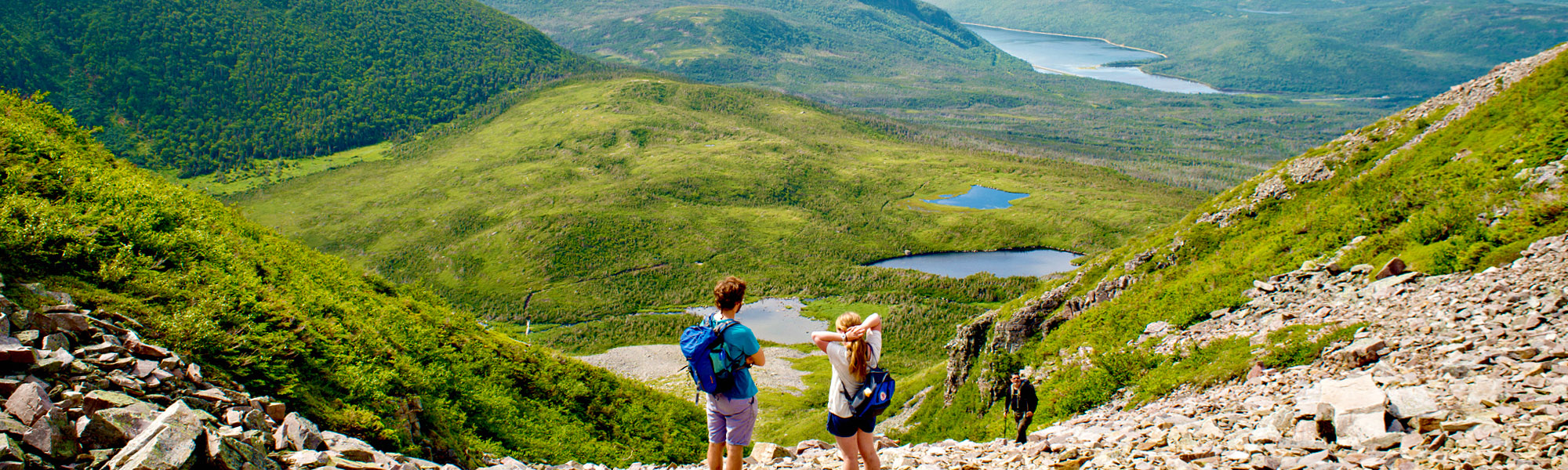 Newfoundland: Viking Trail Hiking Tour - Freewheeling Adventures