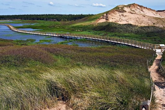 A view walking along a boardwalk trail in the Grenwich section of PEI National Park on a Freewheeling Adventure hiking tour.